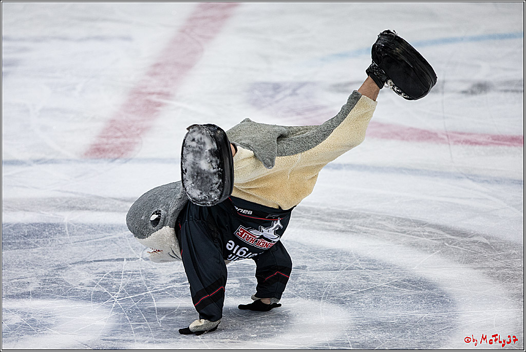 DEL, Koelner Haie - Iserlohn Roosters, 28.12.2016